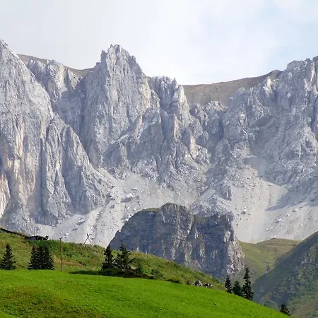 Schija