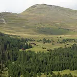 Schija *